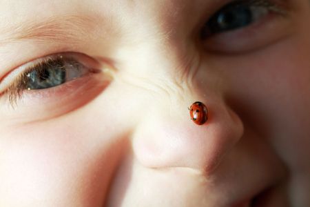 Nature theme: an image of a girl with a ladybirdの写真素材