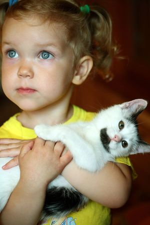 An image of a little girl with a catの写真素材