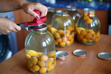 An image of hands canning a big jar of apricotsの写真素材