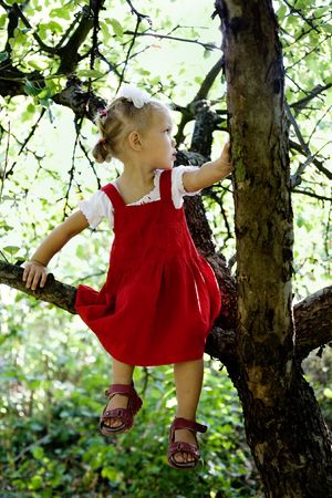 A pretty little girl sitting in the treeの写真素材