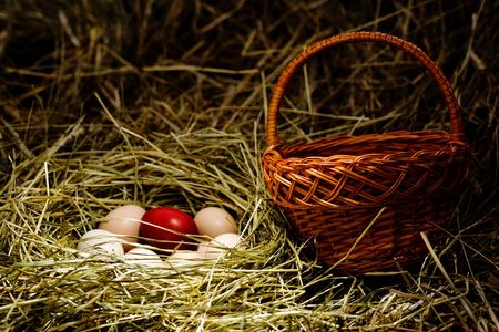 Several fresh eggs and  Easter  egg  in a  nestの写真素材