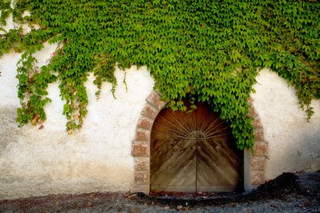 An image of a door overgrown with ivyの写真素材