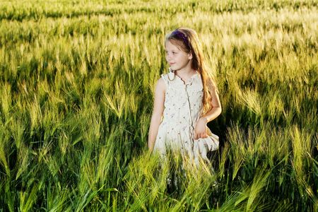 An image of a girl in the field of barleyの写真素材