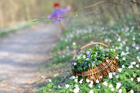 An image of a basket with fresh spring flowersの写真素材