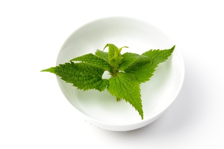 An image of deadnettle in white bowlの写真素材