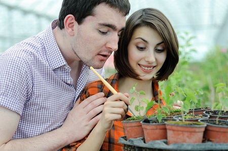 An image of a young couple planting something into the potの写真素材