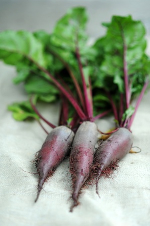 An image of fresh purple beetroots with green leaves