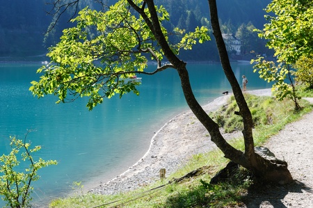 An image of a beautiful blue lake and a green treeの写真素材