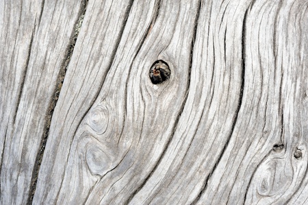 An image of a grey background of weathered woodの写真素材