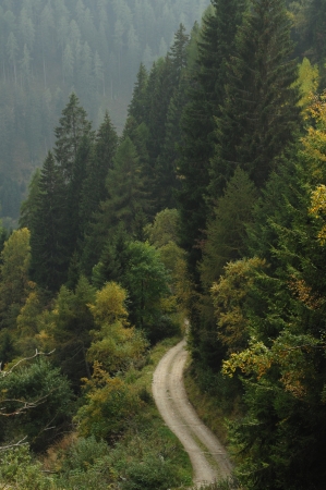 An image of a lane in the mountainsの写真素材