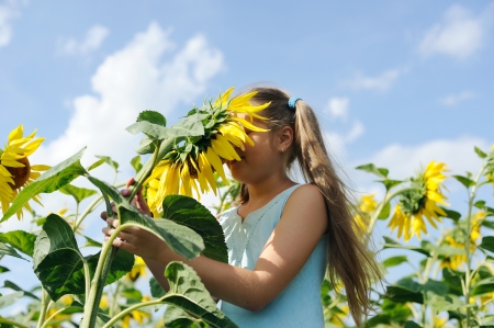 An image of a girl smelling fresh sunflowerの写真素材
