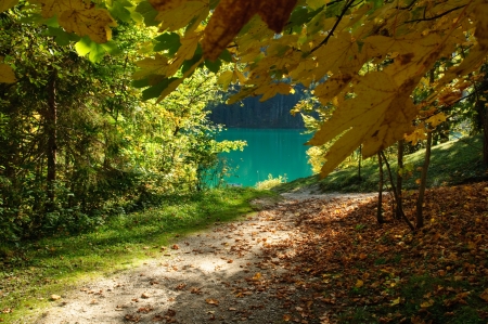 Autumn trees in parkの写真素材
