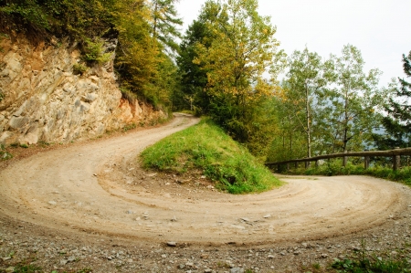 Rural road leading through the forest at the end of summer.の写真素材