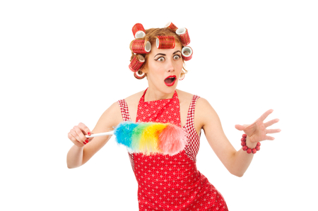 An image of a busy young housewife