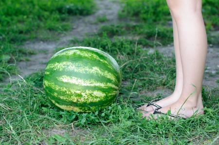 An image of Watermelon is on the trailの写真素材