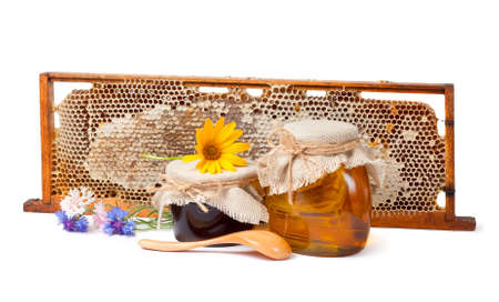 Fresh honey in the combの写真素材