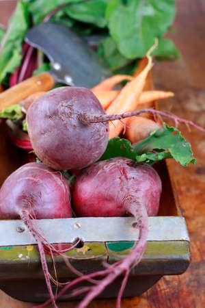 Red beets and carrots