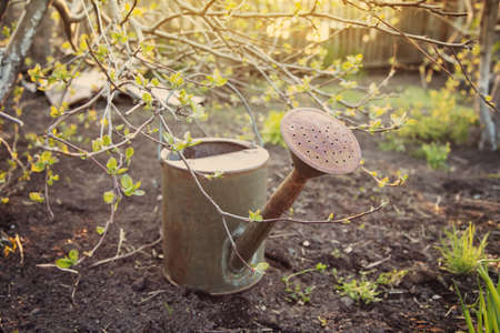 Spring Watering can on beautiful garden backgroundの写真素材
