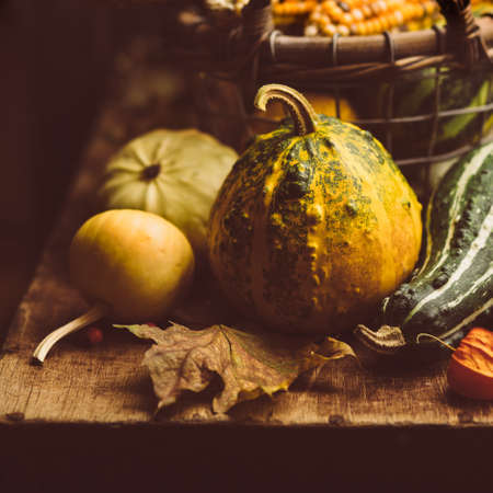 Small pumpkin closeup. Toned Imageの写真素材