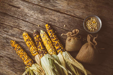 Fresh corn on wooden table. Food background concept. Top viewの写真素材