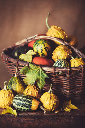 Decorative pumpkins in a big old basketの写真素材