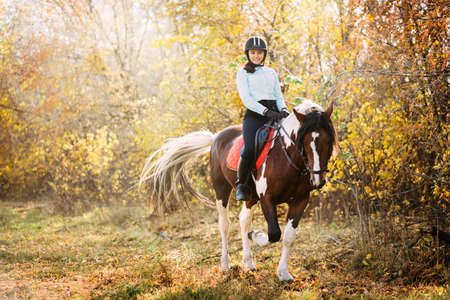 Beautiful girl riding a horse in countryside.  Lifestyle concept