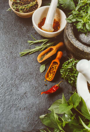 Spices and herbs. Food and cuisine ingredientsの写真素材