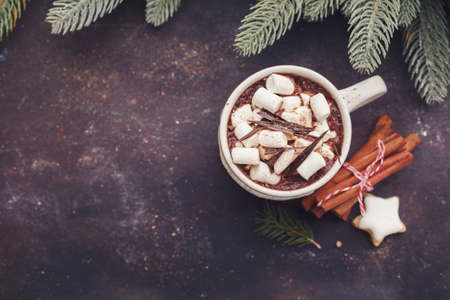 Hot chocolate with marshmallows and cookies.  Christmas background with copyspace, vintage style. Top view, horizontal.の写真素材