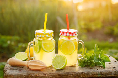 Citrus lemonade in garden setting, Refreshing summer drink with mint. Shallow depth of field