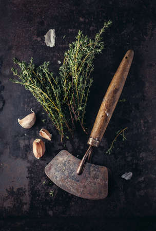 Garlic and Fresh Thyme and Vintage Herb Cutter in a Dark Backgroundの写真素材