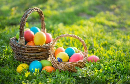Colorful Easter eggsの写真素材