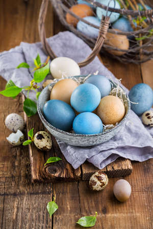 Colored Easter eggsの写真素材