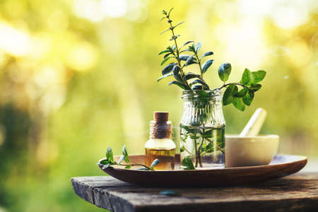 Spa composition with natural mint essential oil outdoors. SPA background. Toned image.の写真素材