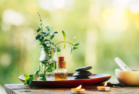 Beautiful spa composition with natural mint essential oil in the open air.の写真素材