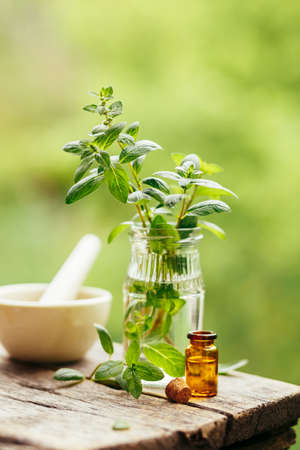 Fresh peppermint and peppermint oil on wooden background outdoors.の写真素材