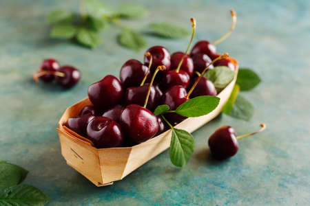 Freshly picked cherry.の写真素材