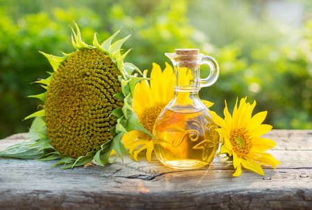 Fresh Sunflower Oilの写真素材
