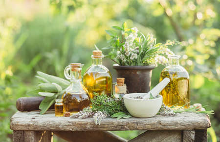 Medicinal plants and oils for massageの写真素材