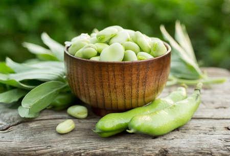 Broad beans or fava beans in a bowl. Organic diet and vegan food, Selective focusの写真素材