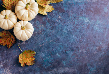 Autumn leaves and pumpkin over old background with copy space. Banner for your designの写真素材