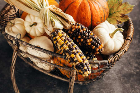 Pumpkins and corn in the basketの写真素材