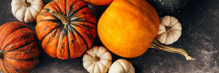 Autumn background with pumpkins.の写真素材