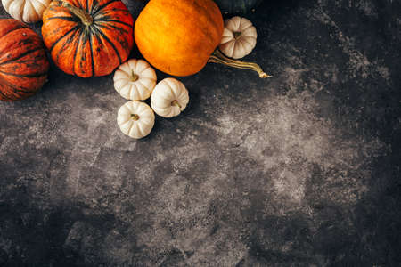 Orange and white pumpkins on a black background, top view.の写真素材