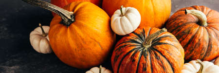Different pumpkins close-up.の写真素材
