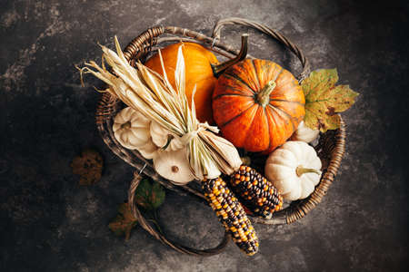 Pumpkins and corn in the basket, top view.の写真素材