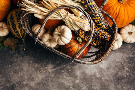 Pumpkins and corn in the basket, top view.の写真素材
