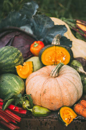 Fresh organic raw vegetables. Healthy food, Farm foodの写真素材
