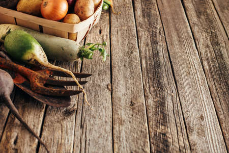 Fresh root vegetables, natural food for a healthy dietの写真素材