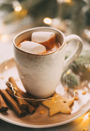 Cup of hot cocoa with marshmallowsの写真素材