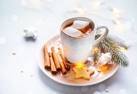 Cup of hot cocoa with marshmallows cの写真素材